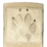 livy_print paw print