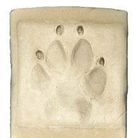 livy_print paw print